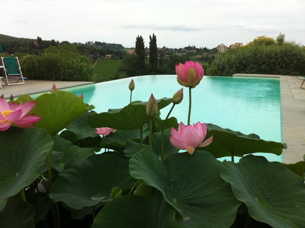 Agriturismo Raccianello San Gimignano Exterior photo