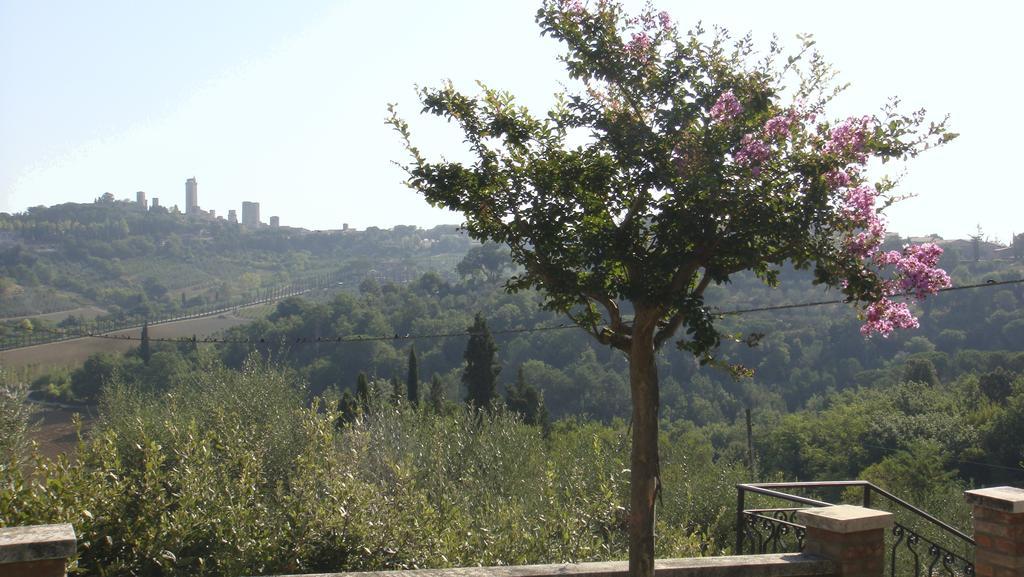 Agriturismo Raccianello San Gimignano Exterior photo